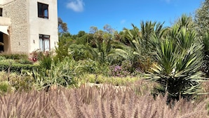 A modern building with a stone facade, surrounded by lush greenery and tall grasses. - A  prestigious and secluded Riad-style villa with HEATED POOL (Essaouira)