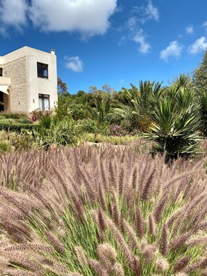 Overnattingsstedets uteområder