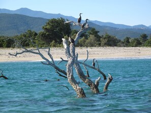 Plage à proximité
