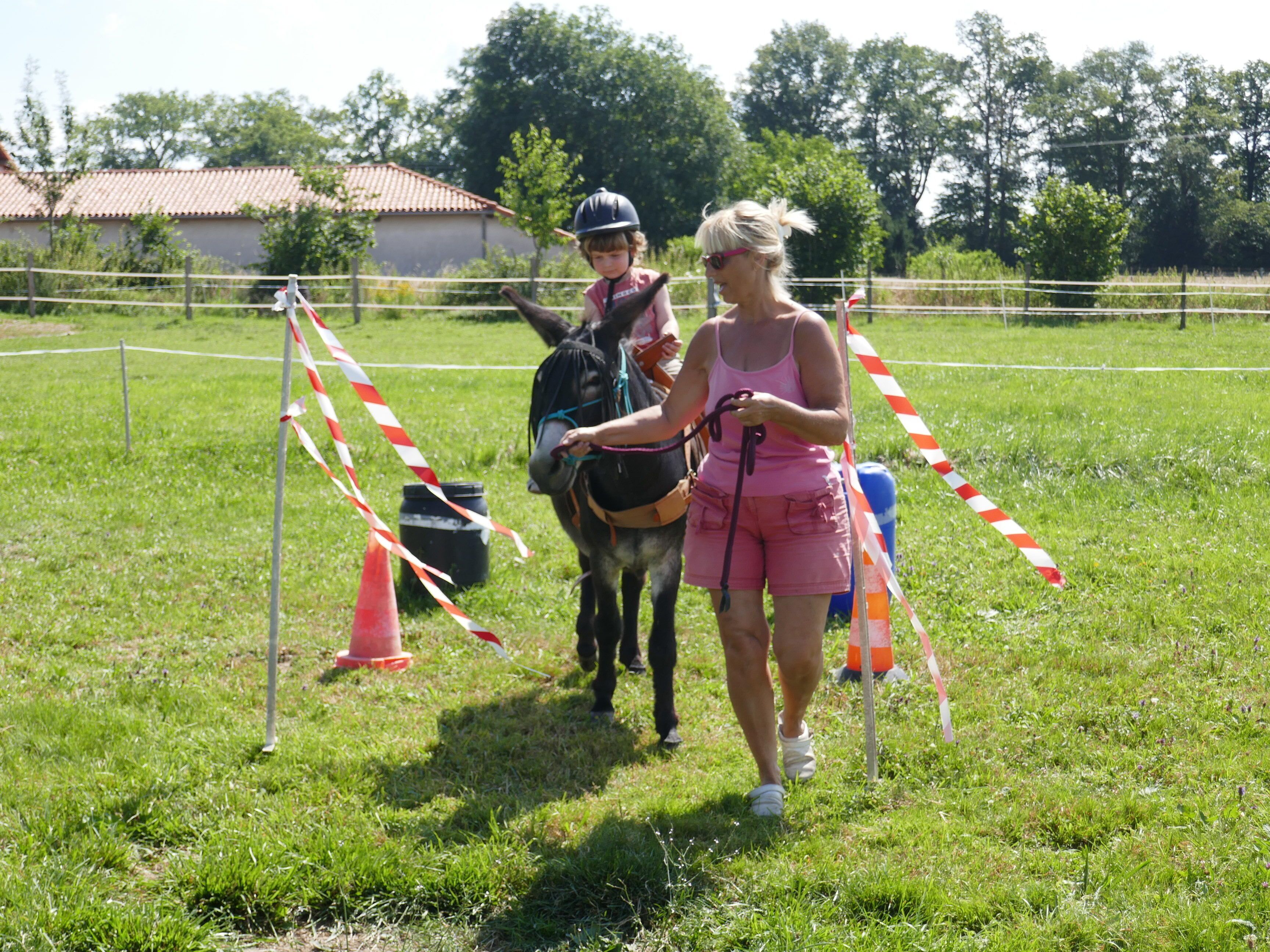 A grassy field with a fence, a donkey, and two people.