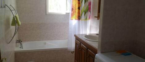Un baño con bañera, lavabo, inodoro y lavadora.