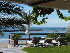 Un salon de plage doté de chaises longues et d’un palmier, avec vue sur la mer.