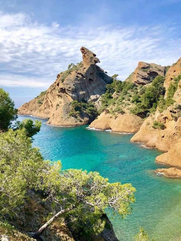 Vlak bij het strand, vissen