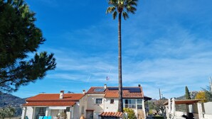 A two-story house with a red-tiled roof, a swimming pool, and a palm tree in the yard.