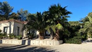 A building with a tiled roof, surrounded by palm trees and other greenery.