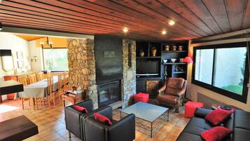 Télévision, cheminée, lecteur de DVD, livres