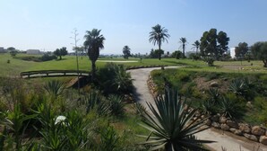 A pathway through a landscaped area with palm trees and a clear sky.