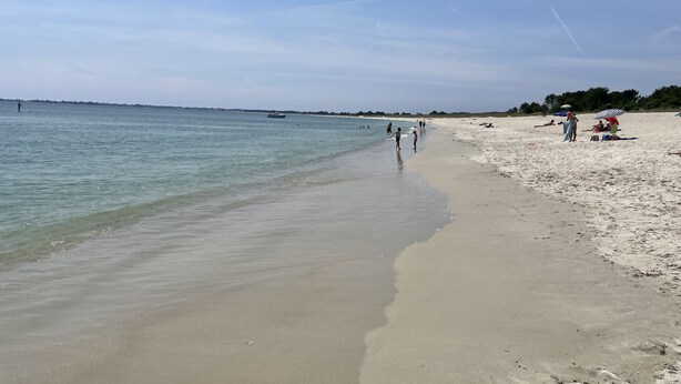 A beach with clear water, a sandy shore, and a few people. - Villa in Sainte Marine. heated pool. beaches, harbour, all on foot  (Combrit)