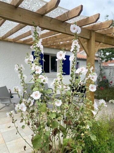 Nice House in Oleron pleasant to live 3 stars 