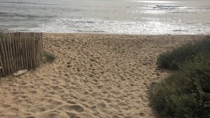 Ein Sandstrand mit einer Holzzahlung und etwas Vegetation.