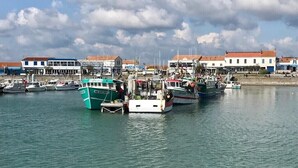 Ein Yachthafen mit mehreren dort angestuften Booten, Gebäuden im Hintergrund und einem teils bewölkten Himmel.