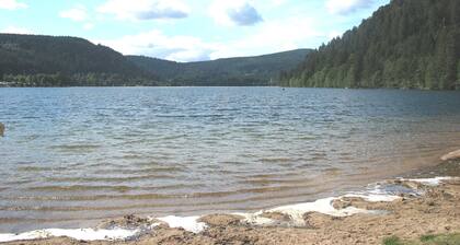 Am Waldrand ruhiges, gemütliches Holzchalet