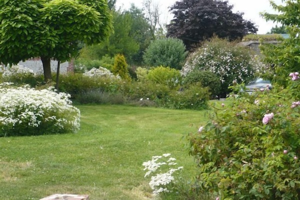 le jardin devant la maison