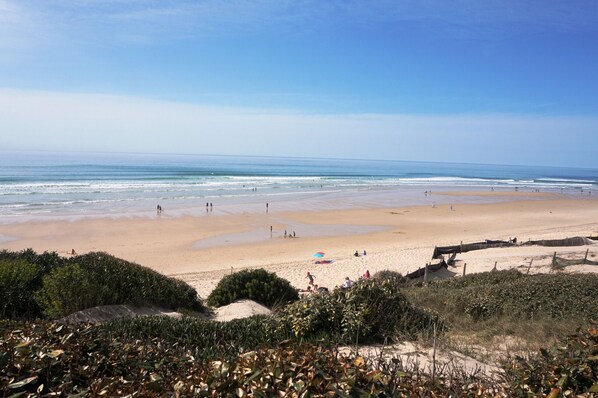 Plage à proximité