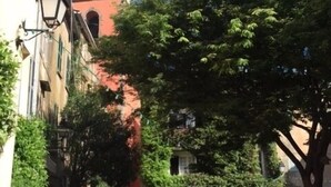 En smal gade med bygninger langs begge sider, et markant klokketårn og et stort træ i midten.