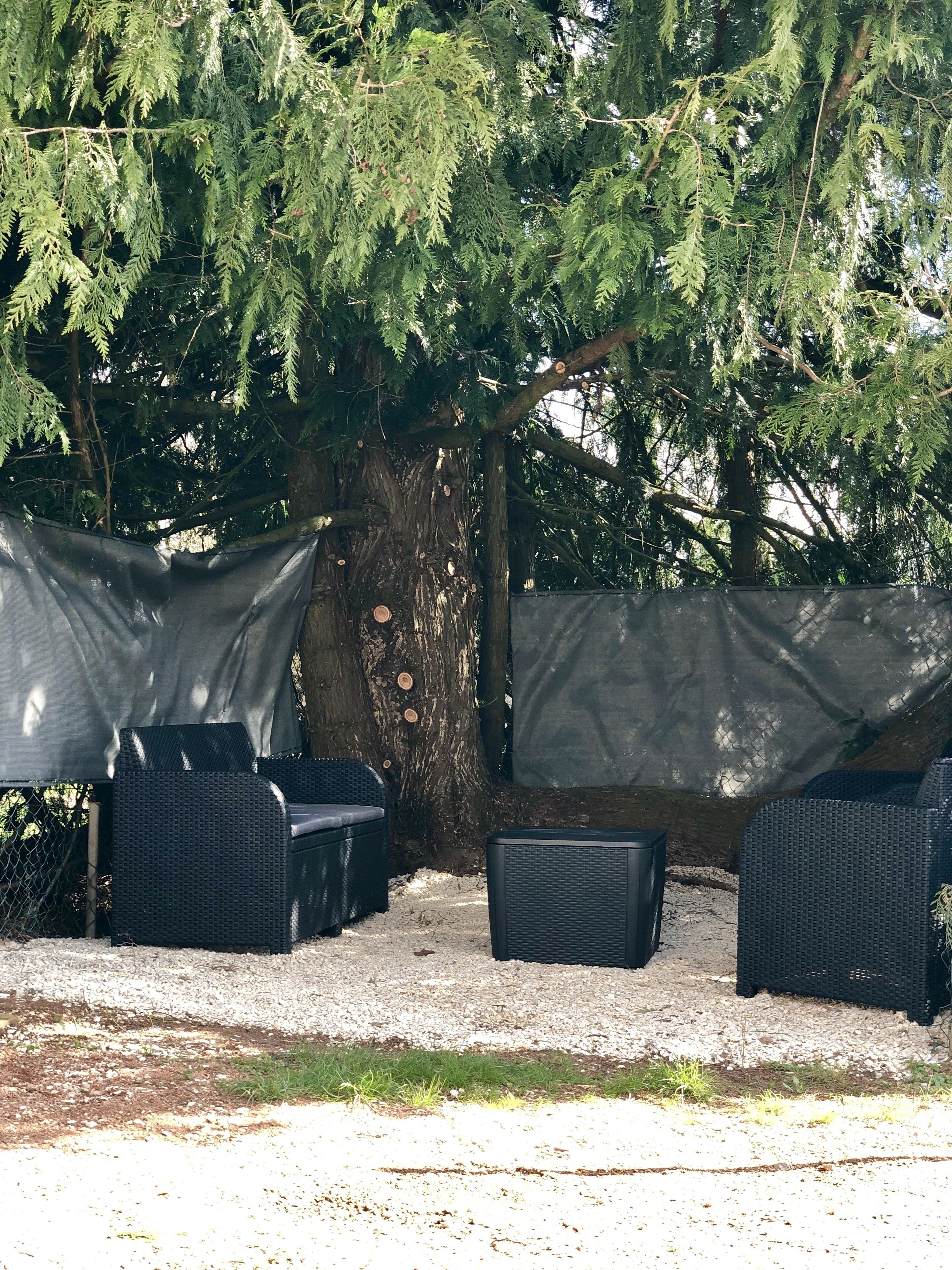 Un espace extérieur aménagé, abrité et doté de mobilier en osier, situé sous un grand arbre et entouré d’une clôture en treillis métallique.