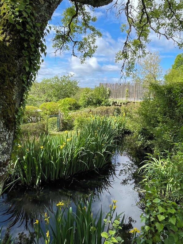 Property grounds - Quiet black Perigord villa with private heated pool 15pers (Brouchaud)