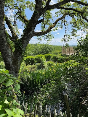 A large tree with a thick trunk and sprawling branches, surrounded by lush greenery and a wooden fence.