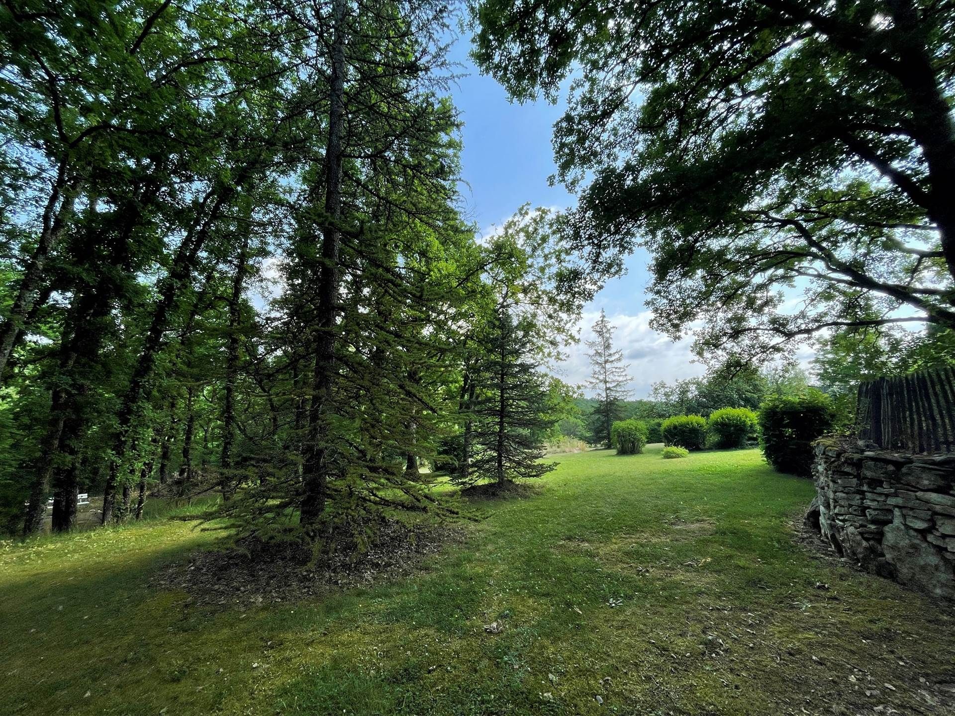 A grassy pathway leading through a forested area with trees and a stone wall on the right.