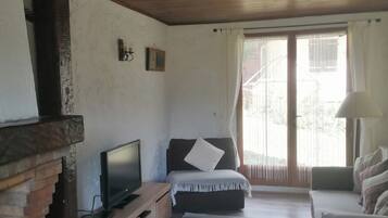 TV, fireplace, DVD player, books
