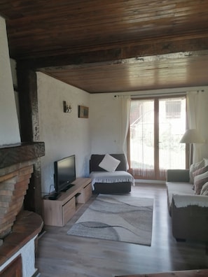 Télévision, cheminée, lecteur de DVD, livres