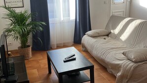 Un salon comprenant un canapé, une table basse, un fauteuil en osier, une plante en pot et un téléviseur.
