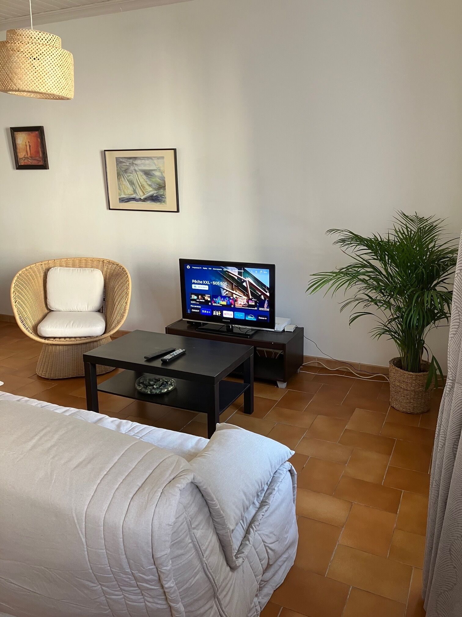 Un salon avec un canapé, un fauteuil en osier, un téléviseur posé sur un meuble, une télécommande sur une table et une plante en pot.