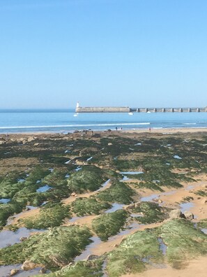 Une côte rocheuse parsemée d’algues vertes, un phare et une jetée qui s’avance dans l’eau.