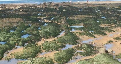 Holiday home in Les Sables d'Olonne, 1km from the beach, 6 people.