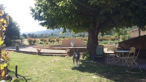 Un jardin agrémenté d’une statue d’âne, d’un espace extérieur aménagé pour s’asseoir et d’un mur de pierre avec un lampadaire.