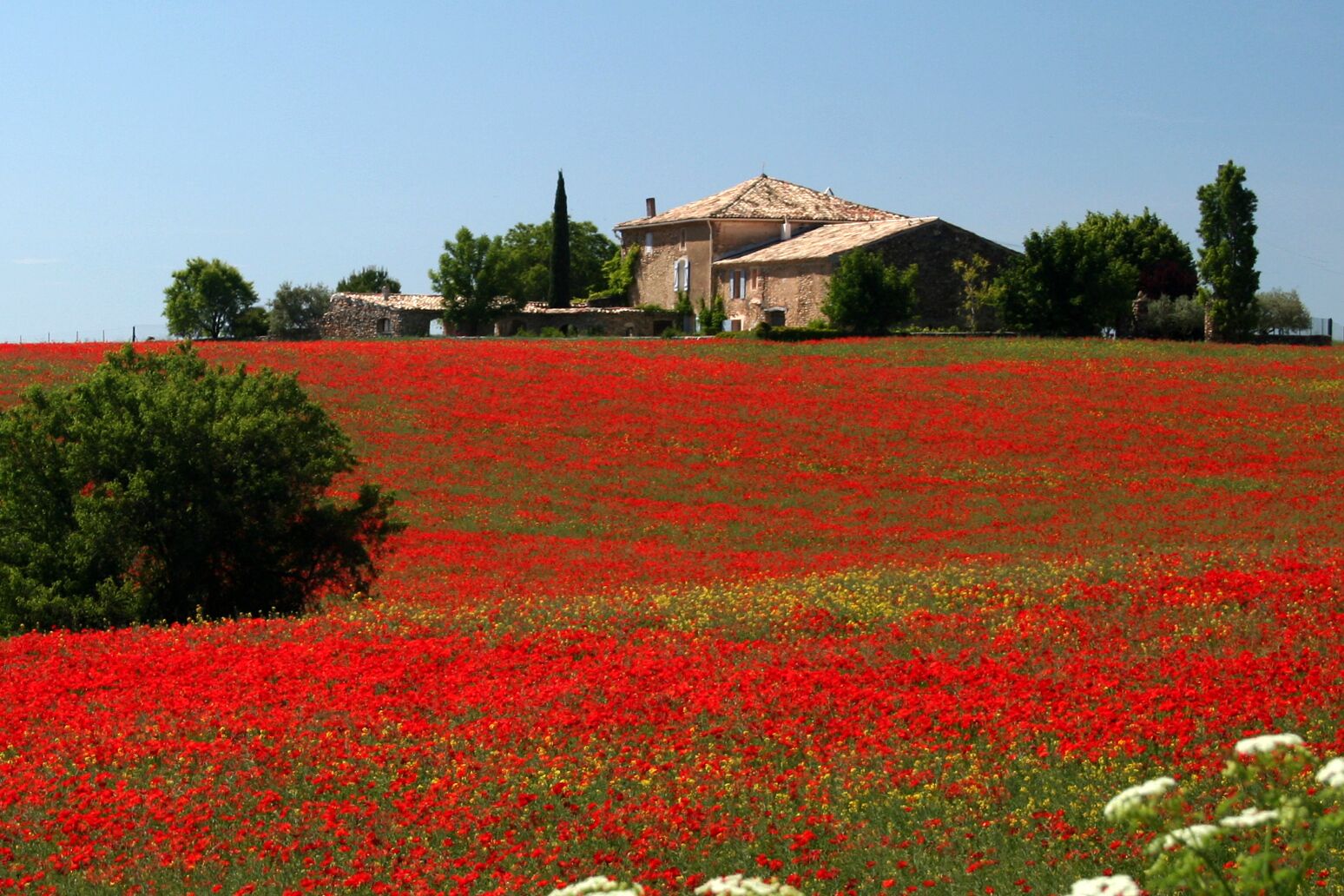 Charming bastide with swimming pool