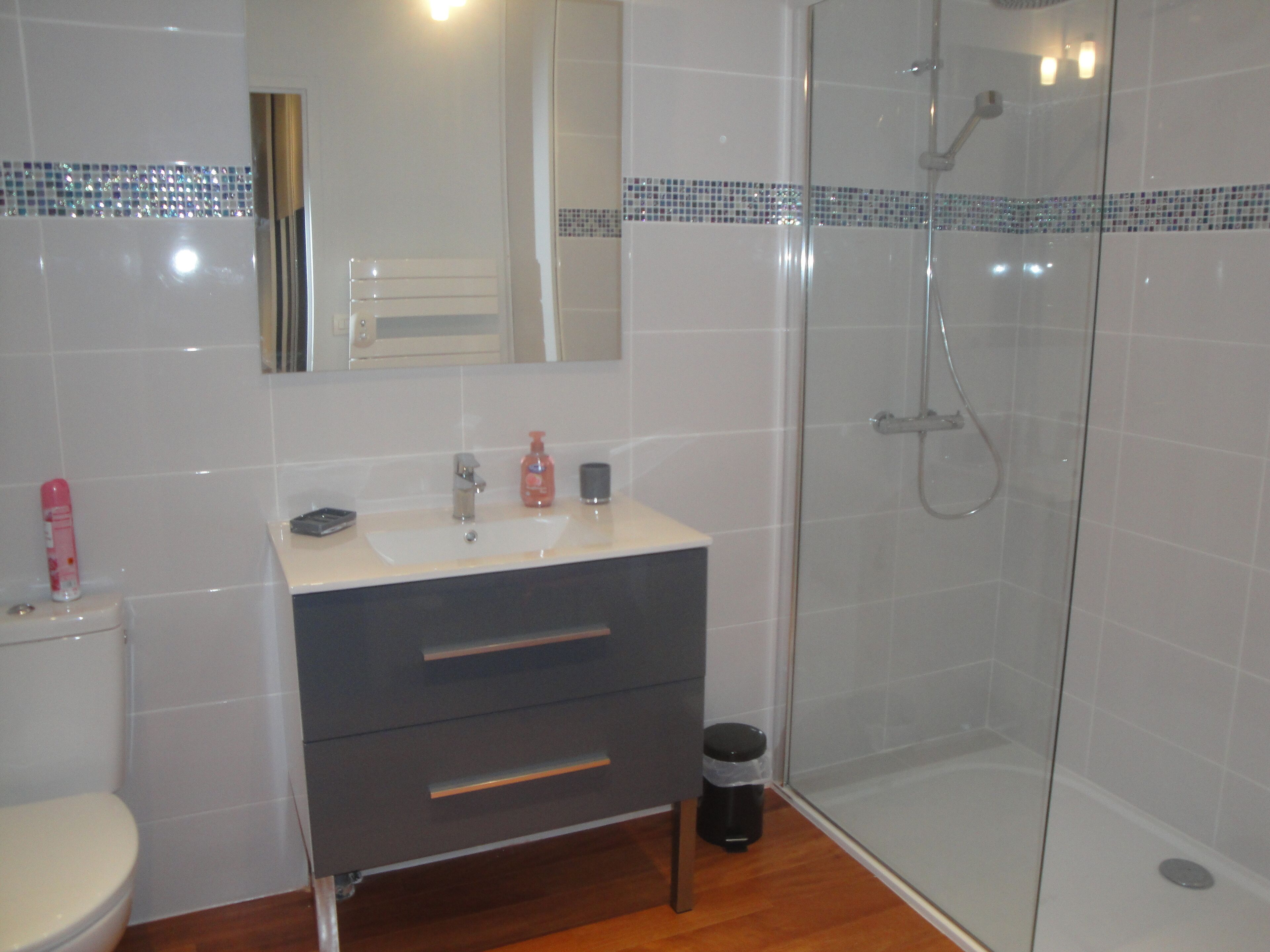 Douche, sèche-cheveux, papier toilette