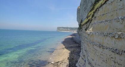 Etelään päin oleva mökki, joka on koodattu 40 m meren rannalta