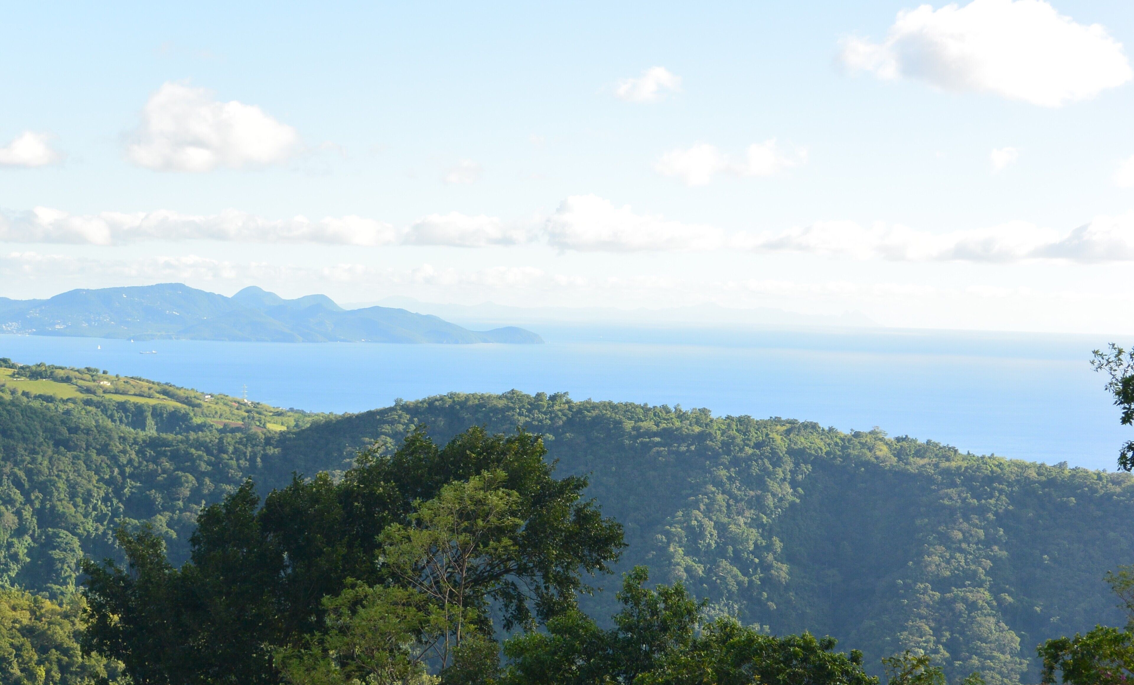 A panoramic view of a mountainous landscape with dense forests and a clear blue sky.