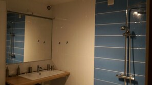Bathtub, hair dryer, bidet, toilet paper