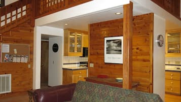 Televisión, chimenea, reproductor de DVD y libros