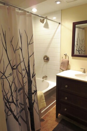 Combined shower/bathtub, hair dryer, towels, soap