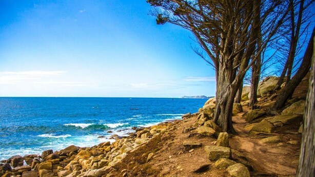 Un sendero costero pedregoso con vista al océano y una línea de árboles.