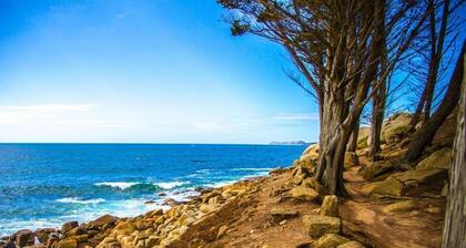 Vacation home 8 km from the sea with enclosed garden, south-facing terrace, bicycle shed