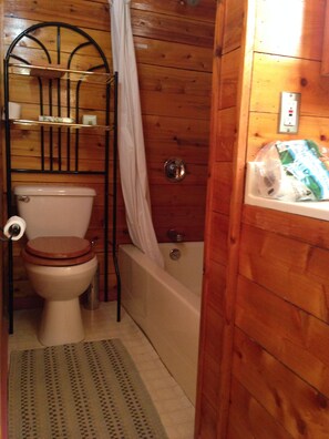 Bañera, secador de pelo, jabón y champú