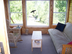 TV, DVD player, books, video library