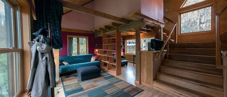 Télévision, lecteur de DVD, livres, vidéothèque