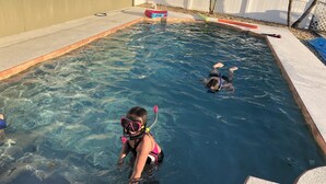 A swimming pool with clear water, a diving board, and a white fence in the background. - Waterfront Home on Canal - Heated Pool, Free use of Pontoon Boat! Discount's (New Port Richey)