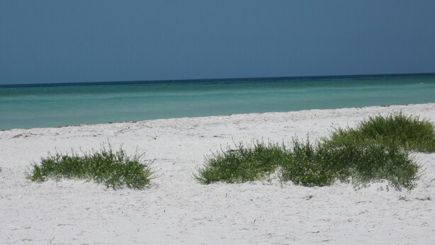 A beach with white sand and clear turquoise water. - Waterfront Home on Canal - Heated Pool, Free use of Pontoon Boat! Discount's (New Port Richey)