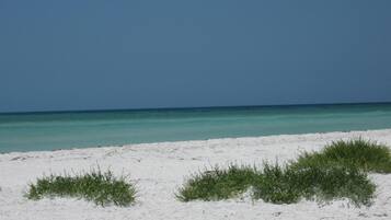 Plage à proximité, chaises longues, serviettes de plage