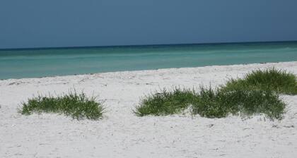 Waterfront Home - lämmitetty uima-allas, Pontoon-vene, Gulf Access,