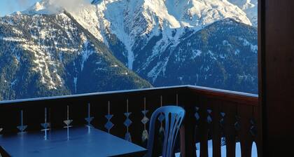 SKI AUX PIEDS BALCON SUD WIFI DUPLEX 8-10 PERSONNES BISANNE 1500 LES SAISIES