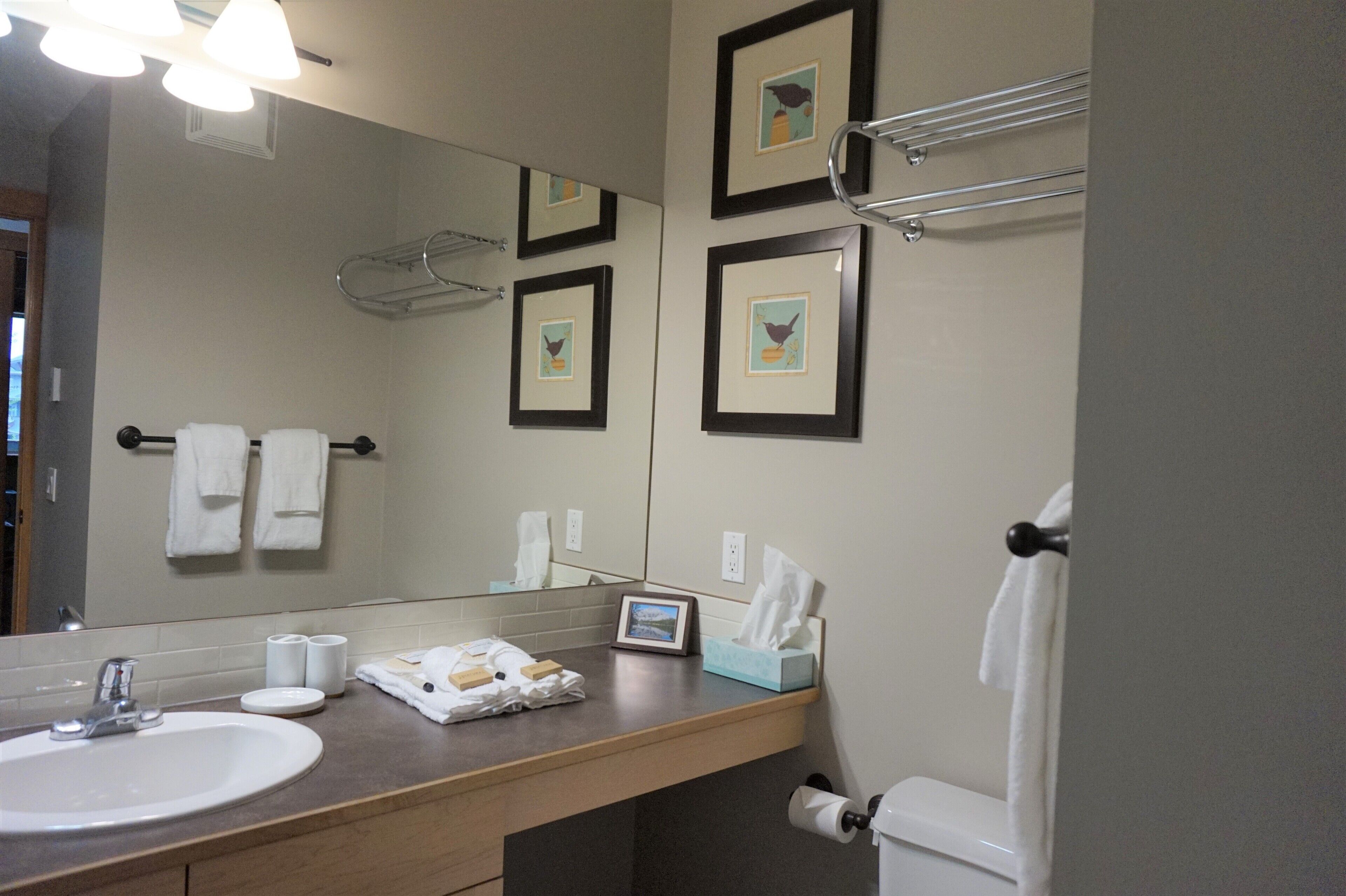 Un bagno con lavandino, specchio, quadri incorniciati, asciugamani e articoli da toilette.