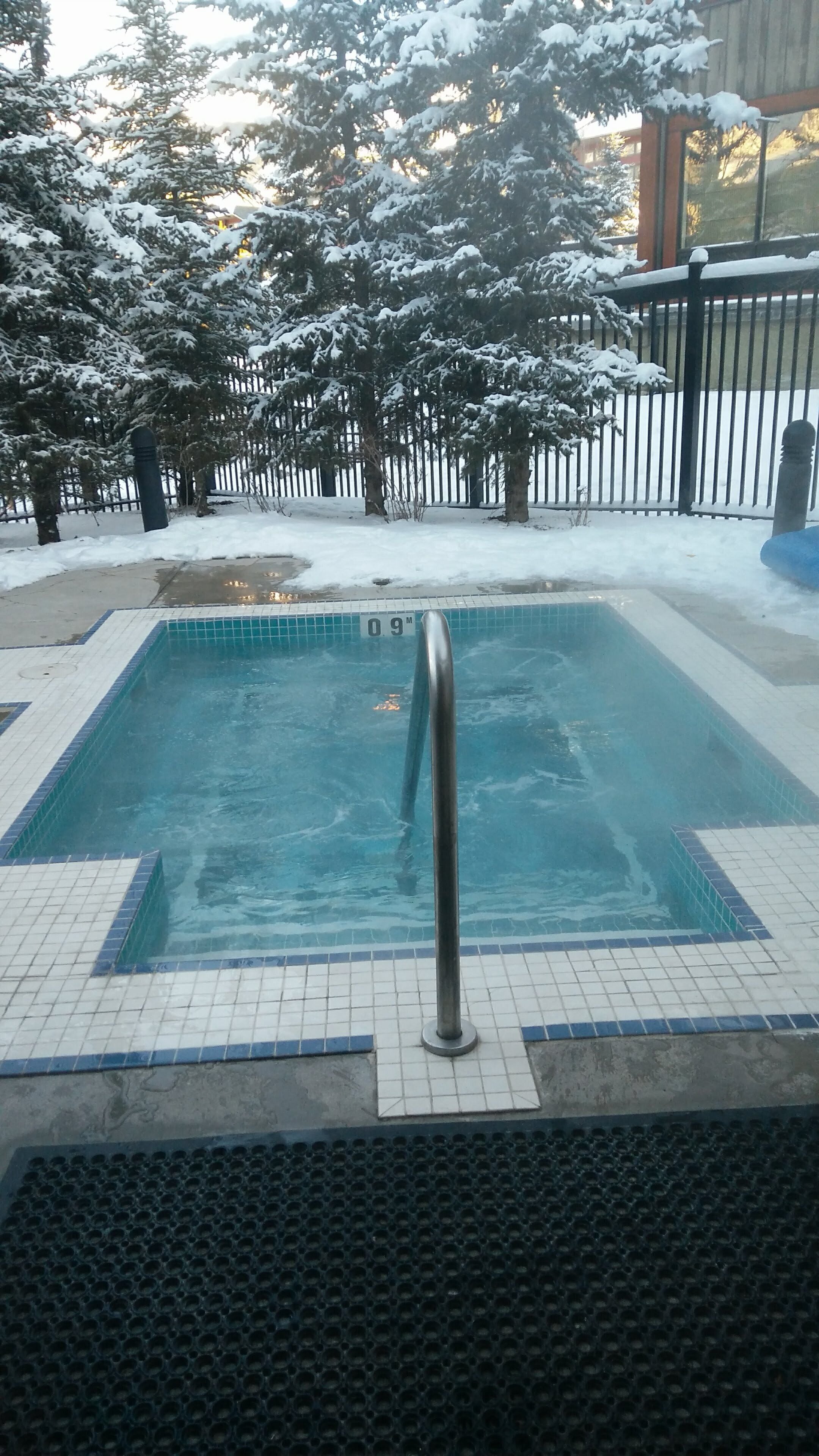 Une piscine dotée d’une rambarde métallique, entourée d’arbres couverts de neige et d’une clôture.