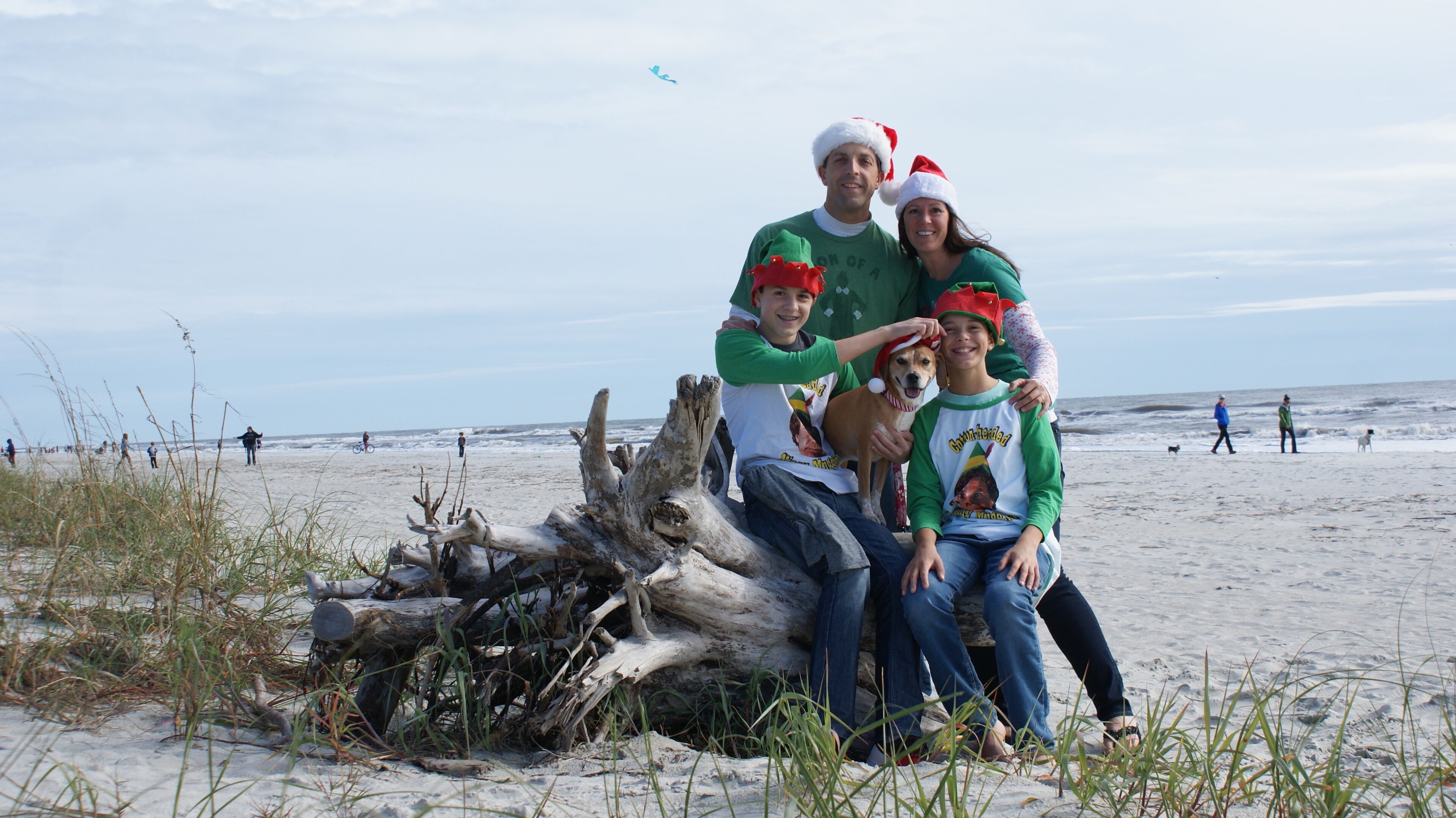 Une famille se trouve sur une plage, avec un grand morceau de bois flotté en premier plan.